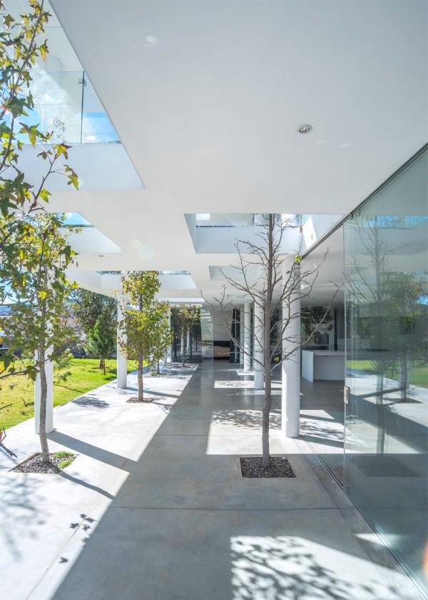 Julio Hernandez house by Roof Arquitectos, a white house in Mexico