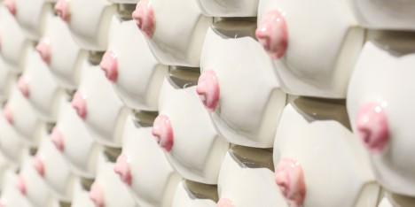 Nipple tiles exhibition by Nicole Nadeau at New York Design Week 2016