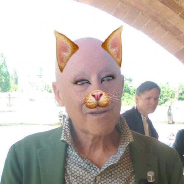Norman Foster Snapchat Dezeen Venice Architecture Biennale 2016
