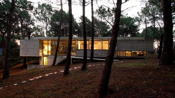 Valeria house by Liciano Kruk and Maria Victoria Besonias which is built in a forest near Buenos Aries