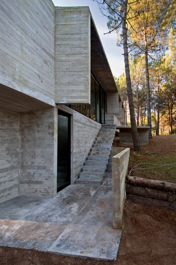 Valeria house by Liciano Kruk and Maria Victoria Besonias which is built in a forest near Buenos Aries