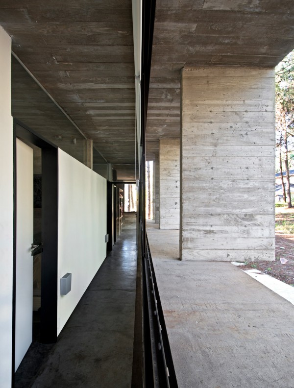 Valeria house by Liciano Kruk and Maria Victoria Besonias which is built in a forest near Buenos Aries