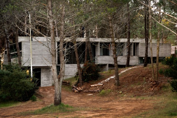 Valeria house by Liciano Kruk and Maria Victoria Besonias which is built in a forest near Buenos Aries