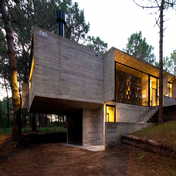 Valeria house by Liciano Kruk and Maria Victoria Besonias which is built in a forest near Buenos Aries