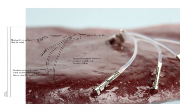 lesley ann daly central saint martins graduate design material futures anthropomorphic sensory augmentation