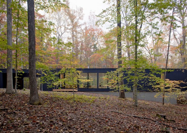 Corbett Residence by In Situ