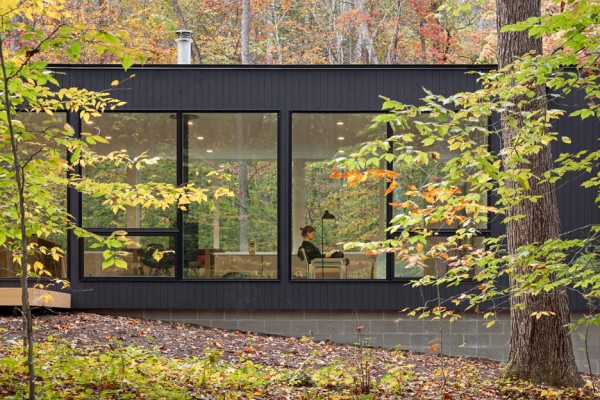 Corbett Residence by In Situ
