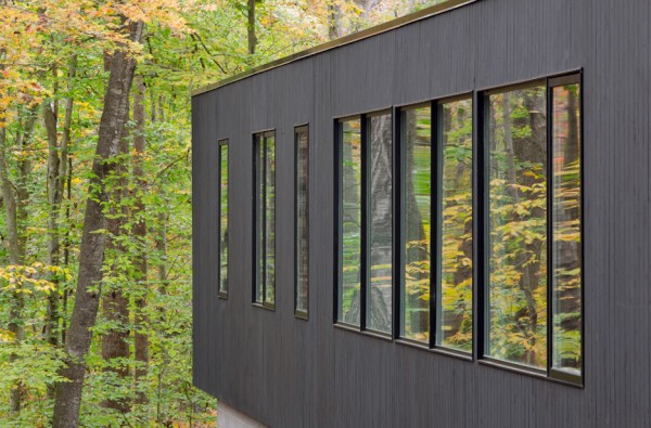 Corbett Residence by In Situ