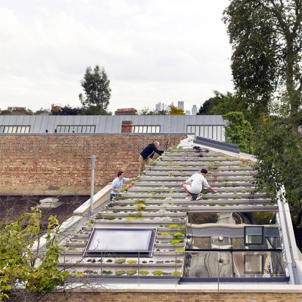 Garden House; Hackney, London, England, by Hayhurst and Co