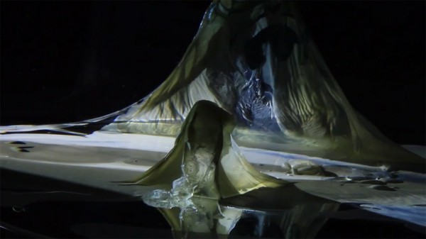 Julien Mier's Sea of Decay music video by Kamiel Rongen