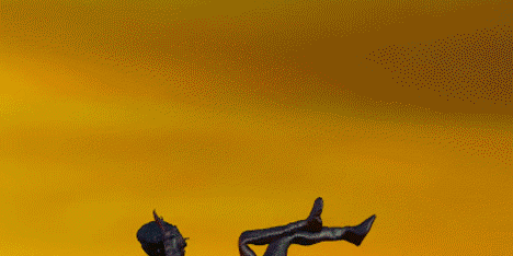 Silly Me by Yeasayer music video design by New Media Limited