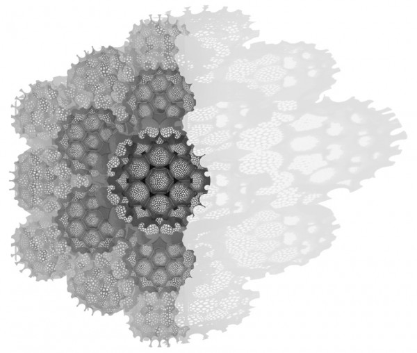 the-butterfly-egg-tia-kharrat-biomimicry-westminster-architecture-graduate_dezeen_plan