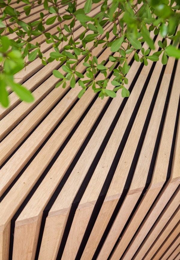 The Cold Pressed Juicery in Amsterdam designed by Standard Studio houses a living tree