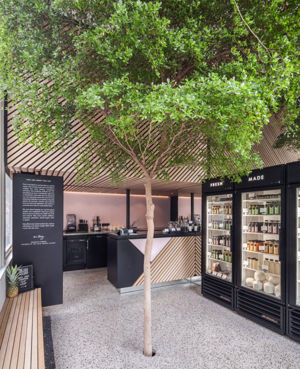 The Cold Pressed Juicery in Amsterdam designed by Standard Studio houses a living tree
