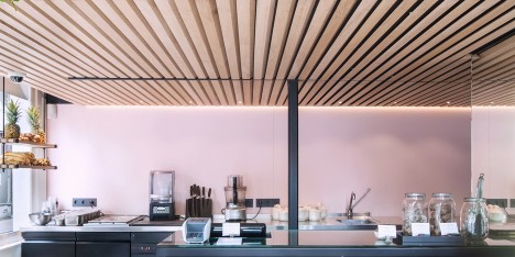 The Cold Pressed Juicery in Amsterdam designed by Standard Studio houses a living tree