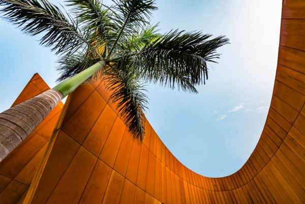 The Crescent by Sanjay Puri
