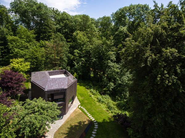 Casa Forest by Daluz Gonzalez Architekten