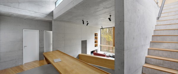 Casa Forest by Daluz Gonzalez Architekten