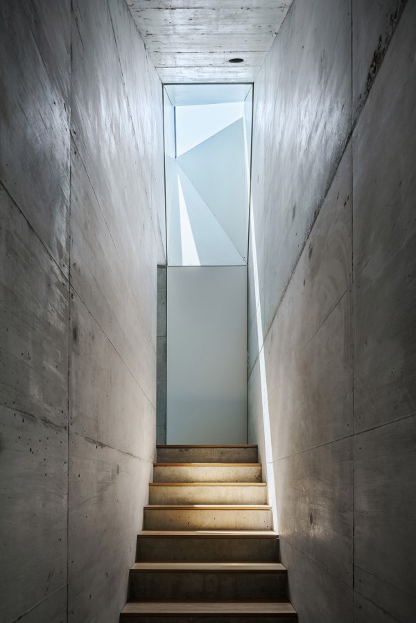 Casa Forest by Daluz Gonzalez Architekten