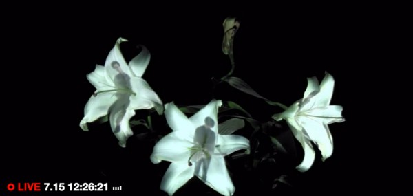 Hana by Androp
