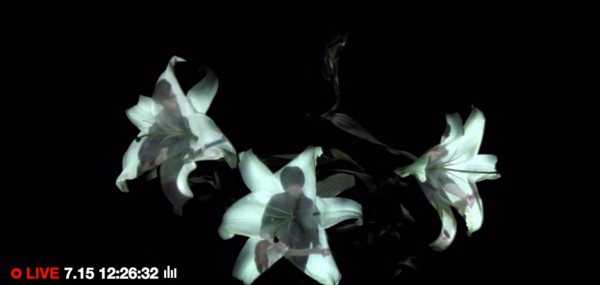 Hana by Androp