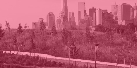 Opinion: The Hills on Governors Island by West 8