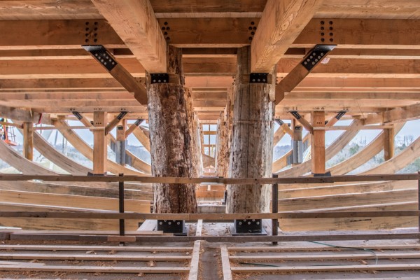 Troyer Group opens Noah's Ark theme park in Kentucky as flash floods hit the state