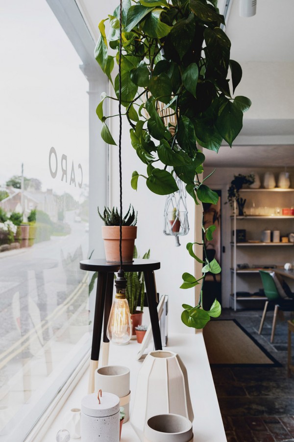 Emil Eve Architects creates lifstyle store in Somerset