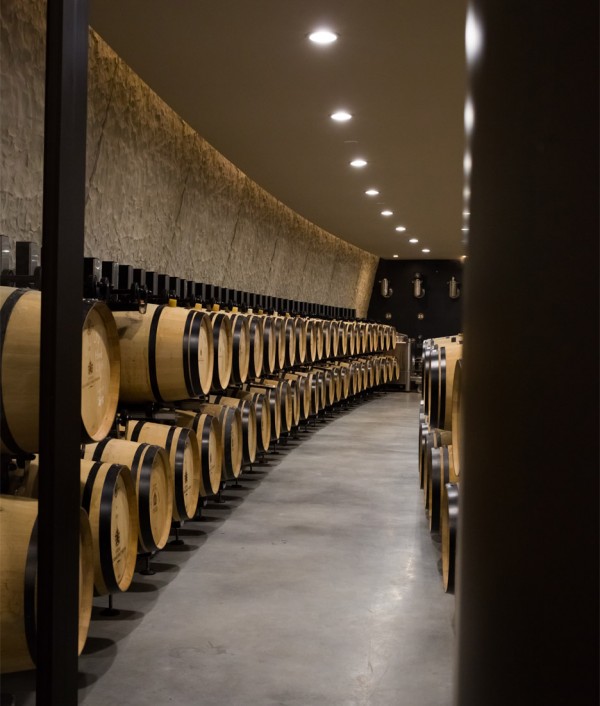 Château les Carmes Haut-Brion cellar by Philippe Starck