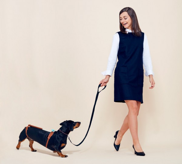 Cuteness Tool for Dachshunds by Hyerim Shin