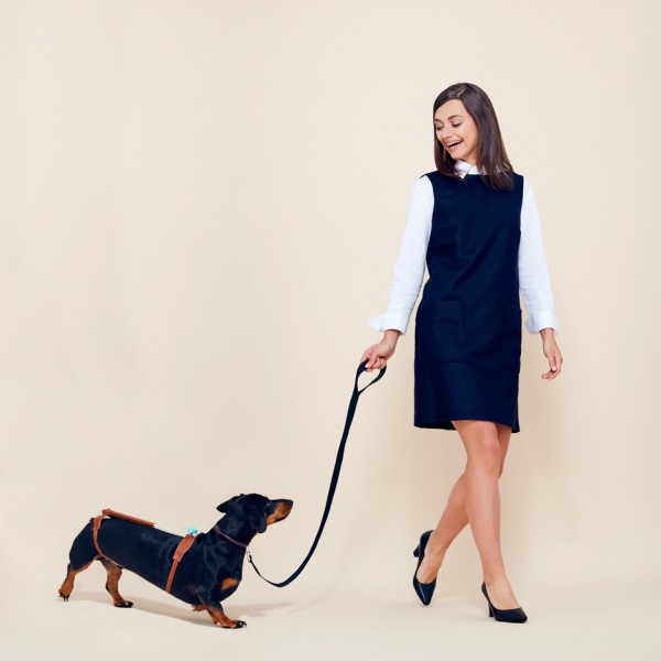 Cuteness Tool for Dachshunds by Hyerim Shin