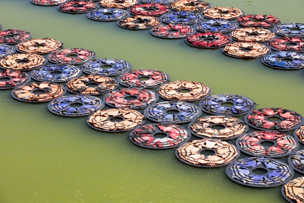 F Lotus by Ai Weiwei
