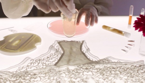 Future Flora by Central Saint Martins graduate Giulia Tomasello