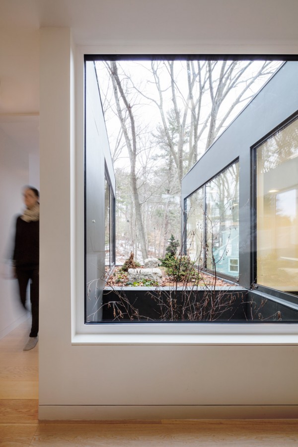 Grow Box by Merge Architects