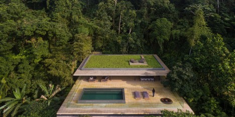 Jungle House by MK27