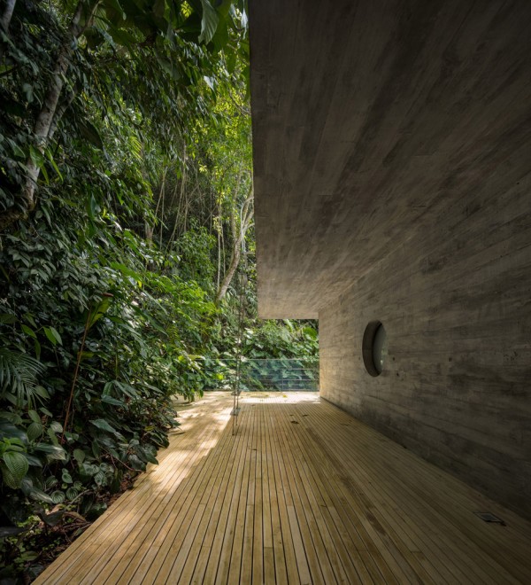 Jungle House by MK27
