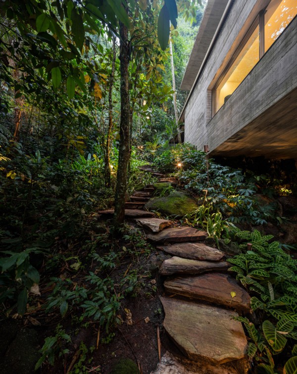 Jungle House by MK27
