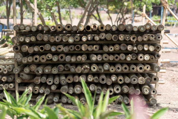 This year's MPavilion by Studio Mumbai is the largest bamboo structure ever built in Australia