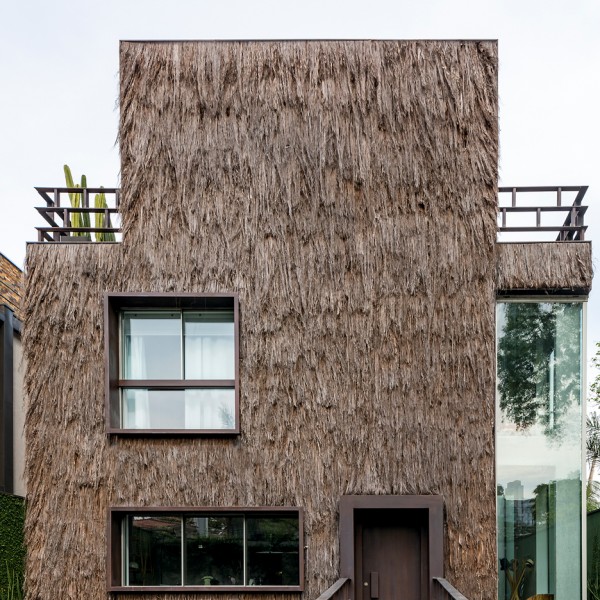 Campanas Brothers use palm fibre to give Sao Paulo house hairy texture
