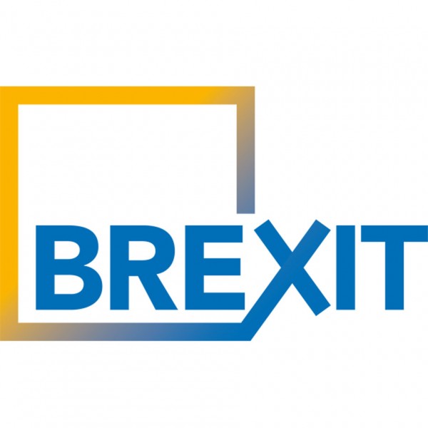 RIBA Brexit