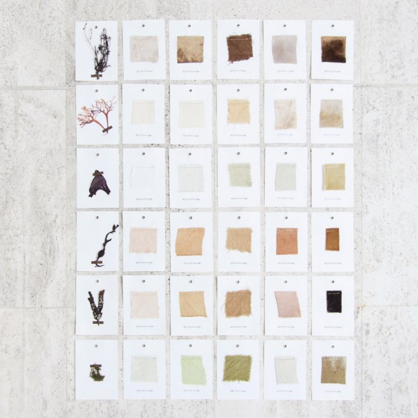 The Sea Me collection by Nienke Hoogvliet uses seaweed as a material