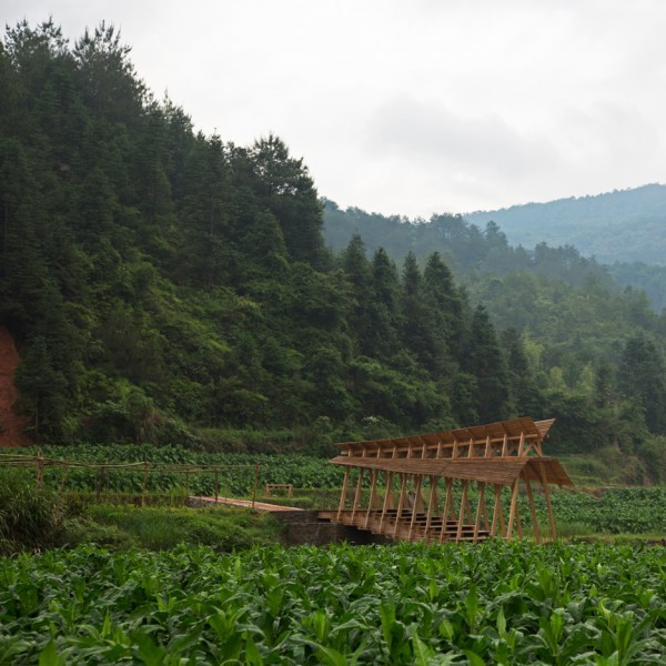 Huge timber steps form bridge built by students across a river in rural China