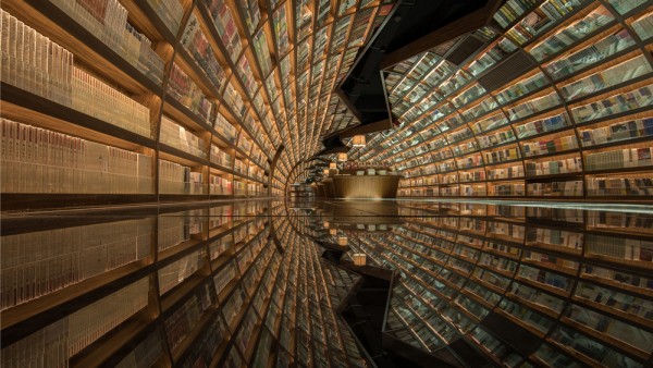 Yangzhou Zhangshuge bookshop by Li Xiang