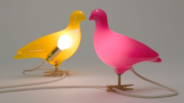 Pigeon Light by Ed Carpenter