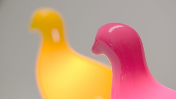 Pigeon Light by Ed Carpenter