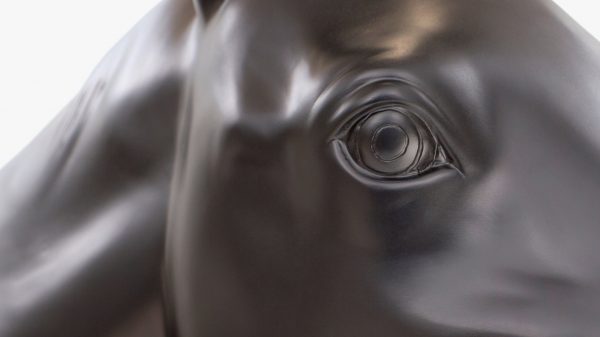 Animal Collection by Front for Moooi
