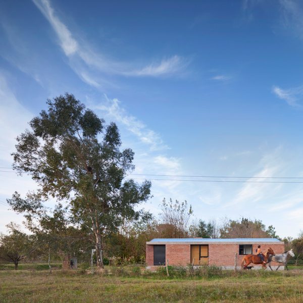 Casa Bovero by Germán Müller is a house among eucalyptus trees in rural Argentina