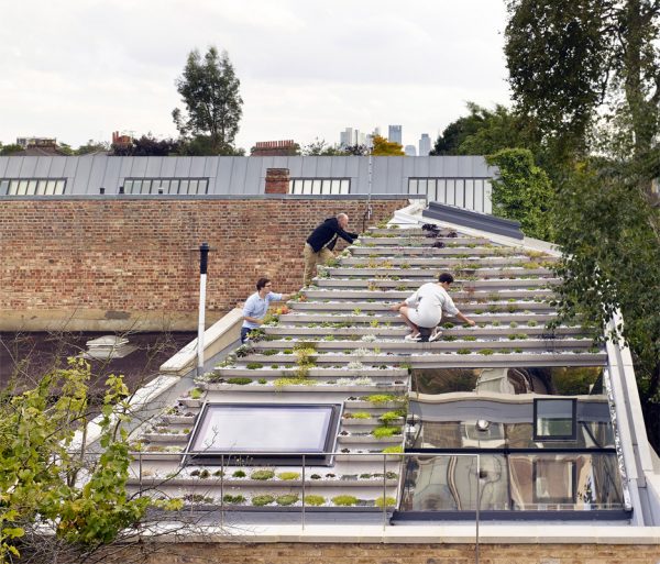 Garden House by Hayhurst and Co