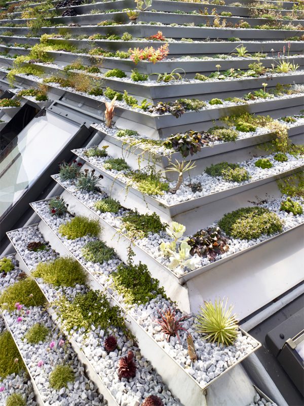 Garden House by Hayhurst and Co