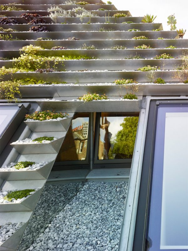 Garden House by Hayhurst and Co